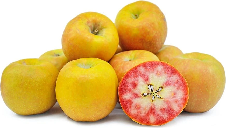 Lucy™ Glo Apple 3 Lucy™ Glo Apple