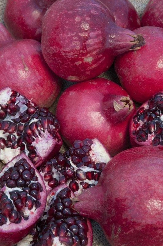 Parfianka Pomegranate 3 Parfianka Pomegranate