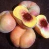 Sweet Bagel Peach 1 Sweet Bagel Peach -Raintree Nursery httpraintreenursery.netpc545 peach