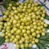 Colossal Gooseberry -Raintree Nursery shutterstock 1811261533 1 1